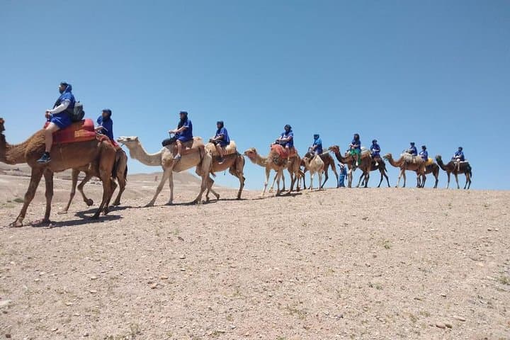 Agafay Desert Private Camel Ride from Marrakech with Berber Tea