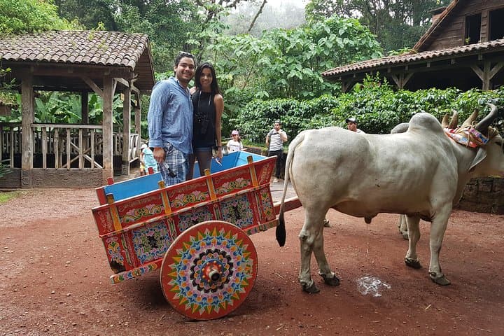 La Paz Waterfall Gardens Private Tour: San José Day Trip to Waterfalls & Wildlife photo 5