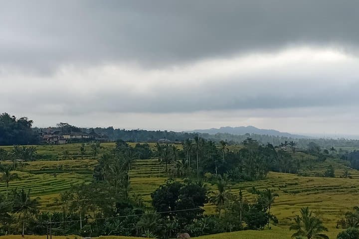 Full-Day Bali Circuit: Nungnung Waterfall, Ulun Danu, Jatiluwih & Tanah Lot Sunset photo 5