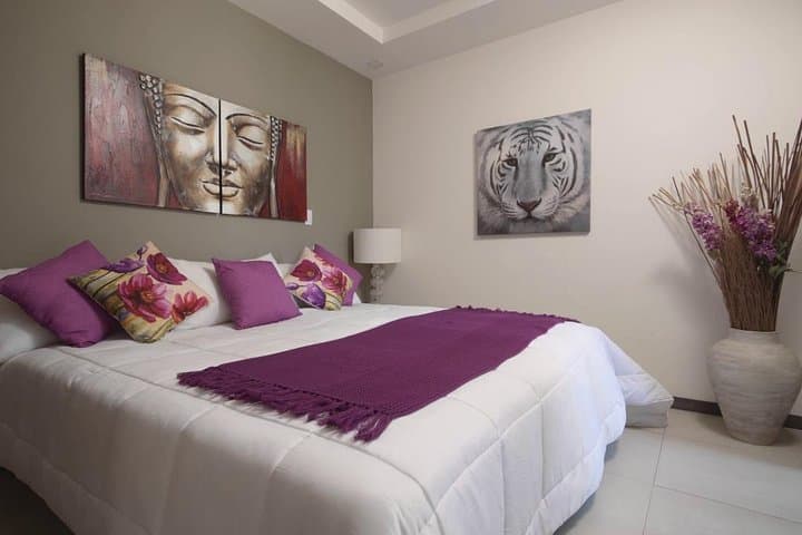 8-Day San Jose Executive Stay: Private Transfers & Apartment Base photo 4