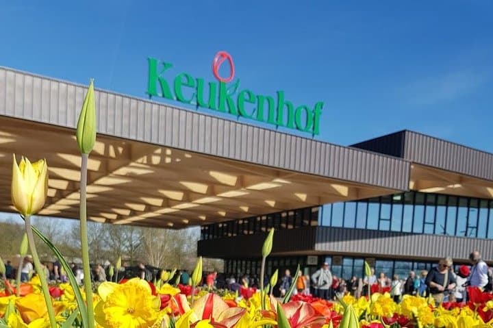 Keukenhof private tour: tulip fields, windmills & Volendam in one day photo 3