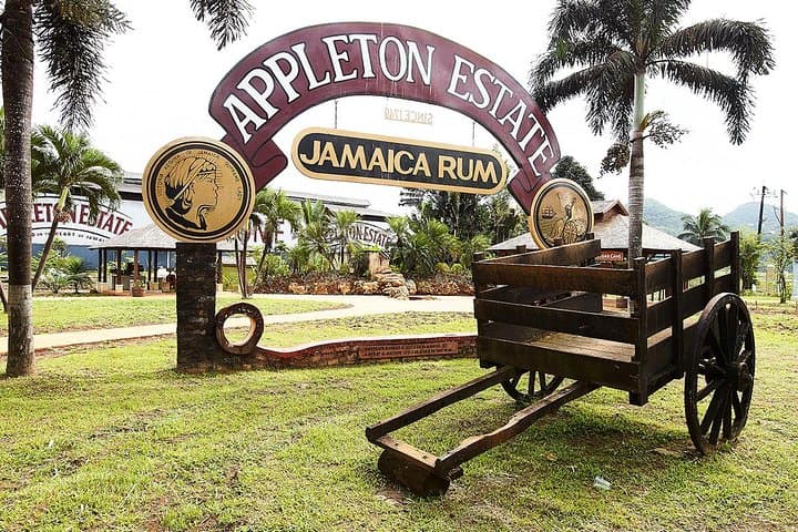 Appleton Rum Estate and Y.S. Falls Day Trip from Negril