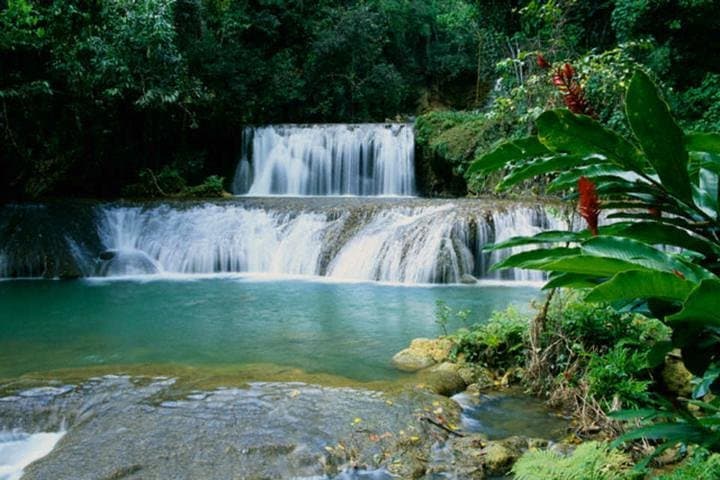 Appleton Rum Estate and Y.S. Falls Day Trip from Negril photo 2