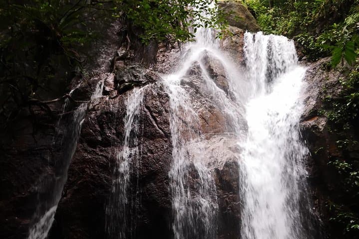 Jungle Trek to Hidden Waterfall and Batu Caves Day Tour