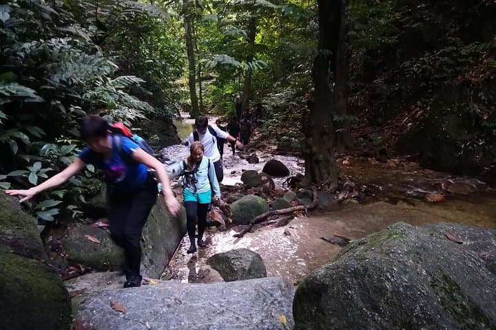 Jungle Trek to Hidden Waterfall and Batu Caves Day Tour photo 3
