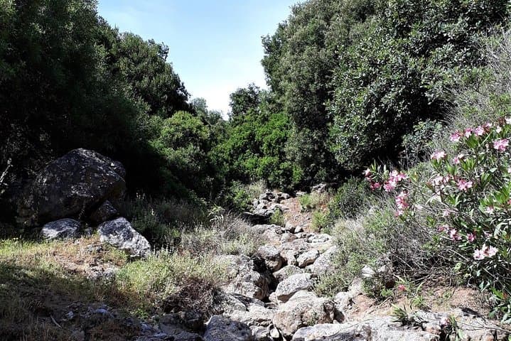 Aposelemis Gorge Walk: 8km Private Hike from Hersonissos photo 5
