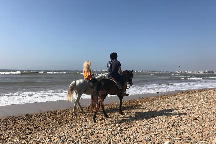 Private Day Trip to Essaouira from Marrakech: Coastal Citadel, Argan Groves & Seafood photo 3