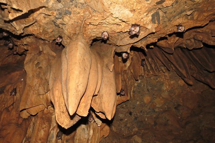 Caving Tour Near Rishikesh: Kailash Cave, Temples & Waterfall (6 hrs) photo 3