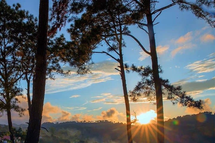 Kalaw Hill-Tribe Trek: 2–3 Day Guided Walk Through Pine Forests and Rice Fields photo 5