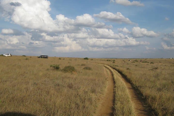 2-Night Maasai Mara Road Safari: Group-Joining Game Drive from Nairobi photo 5