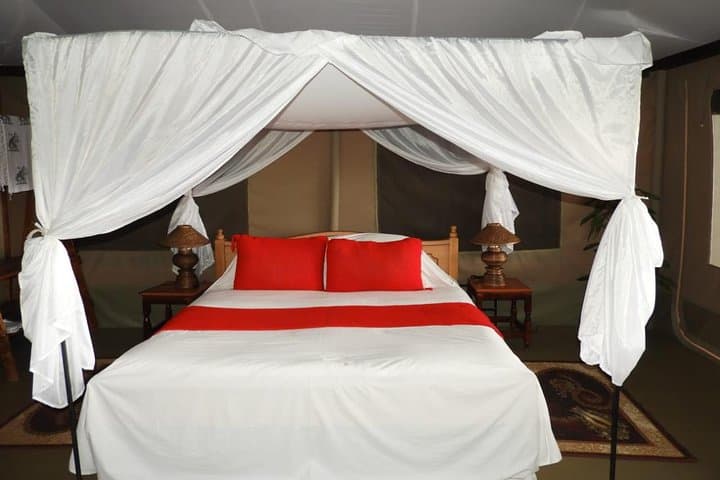 3-Day Masai Mara Safari: Big Five & Wildebeest Migration Experience photo 2
