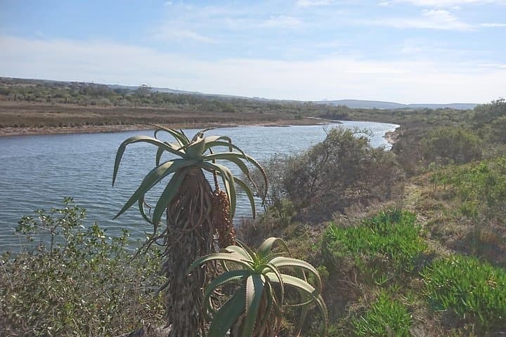 Paddle the Jeffreys Bay Lagoons — Beginner-Friendly Kayak Excursion photo 4