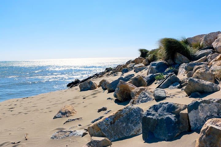 Historic Arles and the Wild Camargue: Flamingos, White Horses & Seaside Traditions