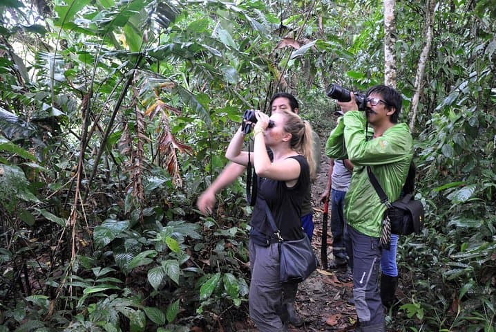 Andes-to-Amazon: 10-Day Ecuador Adventure From Quito