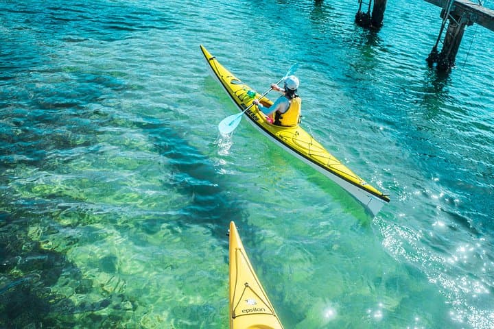 Middle Harbour Self-Guided Kayak Tour — 3-Hour Single Kayak in Sydney photo 2