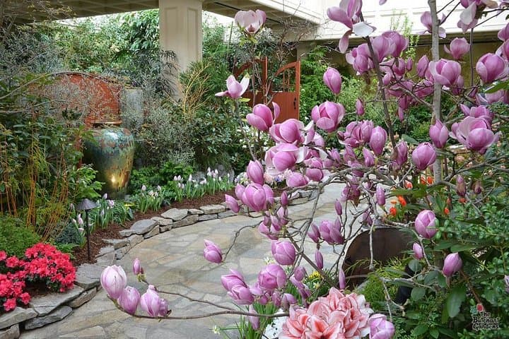 Ultimate Victoria Experience: Butchart Gardens, City Sights & Whale Watching photo 5