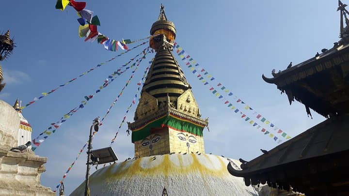 Glimpse of Nepal: 8-Day Cultural and Wildlife Tour from Kathmandu photo 6