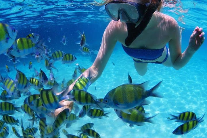 San Blas Islands Day Tour from Panama City — Natural Pool, Shipwreck Snorkel & Isla Chichime photo 2