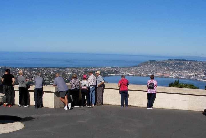Dunedin Garden and City Tour from Port Chalmers — 4-5 Hour Bus Excursion photo 1