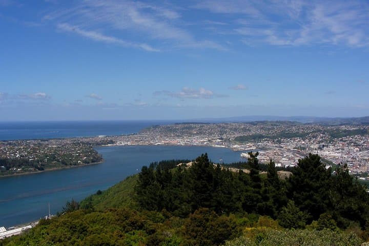 Dunedin Garden and City Tour from Port Chalmers — 4-5 Hour Bus Excursion photo 4