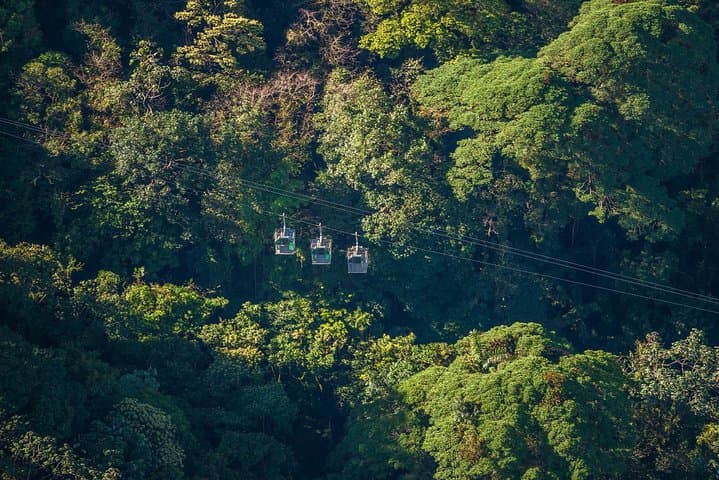 Monteverde Sky Tram, Sky Trek & Tree Climbing: Full-Day Cloud Forest Adventure photo 5