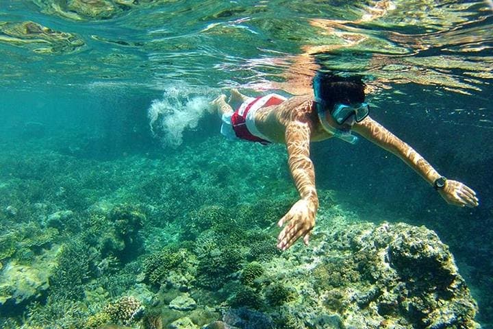 Pink Beach Lombok: Full-Day Snorkeling and Island Hopping from Tanjung Luar photo 6