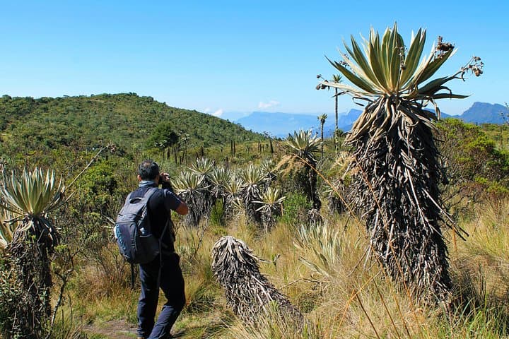 Private Chingaza Hike from Bogotá: Day Trip to Andean Páramo and Lagoons photo 6