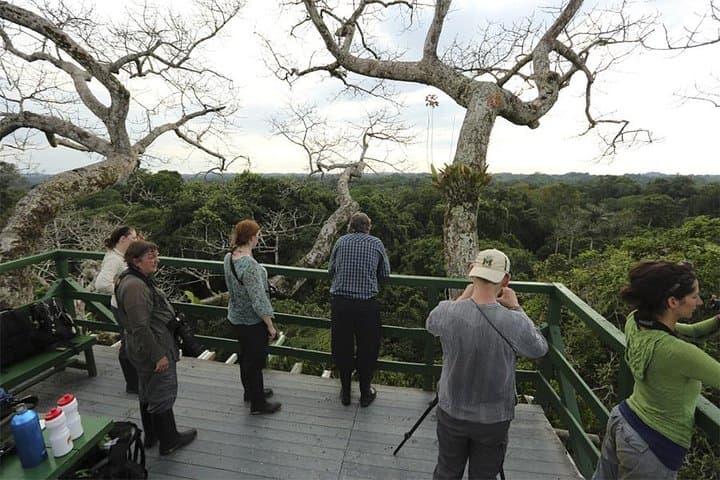 Yasuni Amazon: 5-Day Wildlife & Shuar Cultural Immersion photo 4