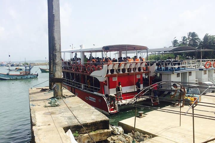 Early-Morning Mirissa Whale Watching with Private Transfer from Hikkaduwa & Galle photo 3