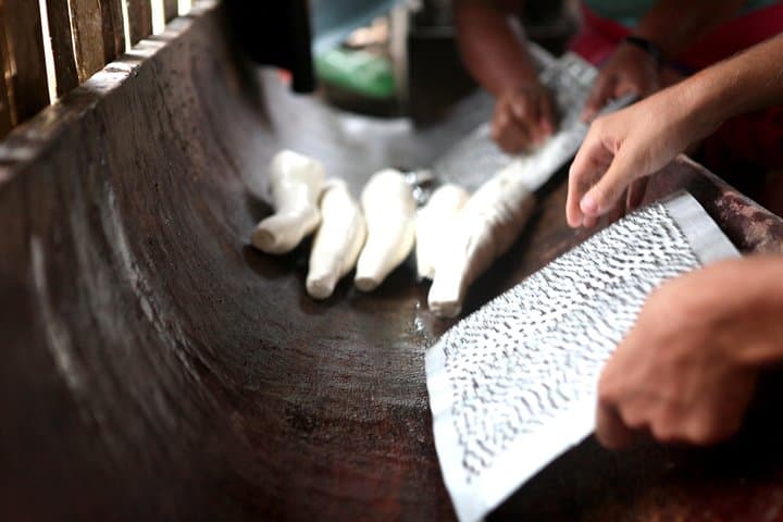 Quito to Cuyabeno: Amazon Lodge, Canoes & Siona Community Experience photo 4