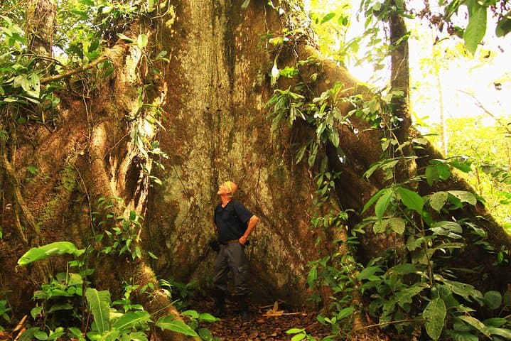 3-Day Amazon Rainforest Tour from Quito to Napo: Eco-Lodge Adventure near Misahuallí photo 5