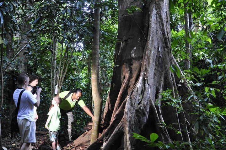 Dawn and Dusk Rainforest Hike in Langkawi: Guided 3-Hour Trek photo 2