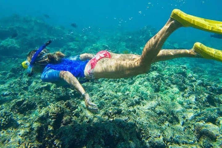 Blue Lagoon Snorkel: Clear Reefs & Turtles at Padang Bai photo 6