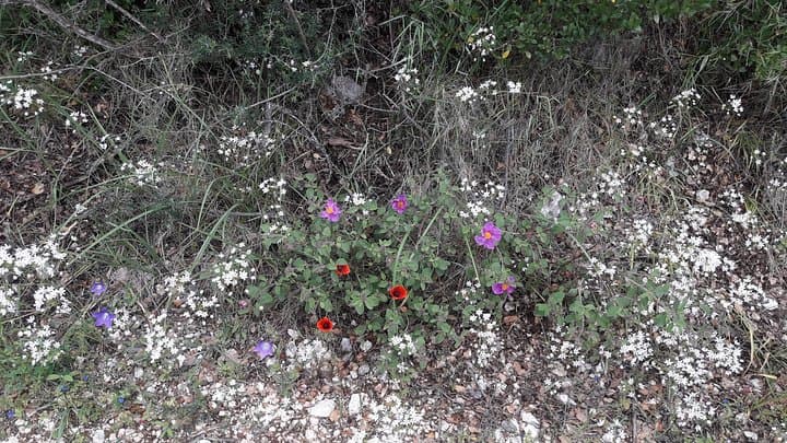 Pantokrator Peak Hike — Corfu's Highest Summit & Panoramic Trails photo 3