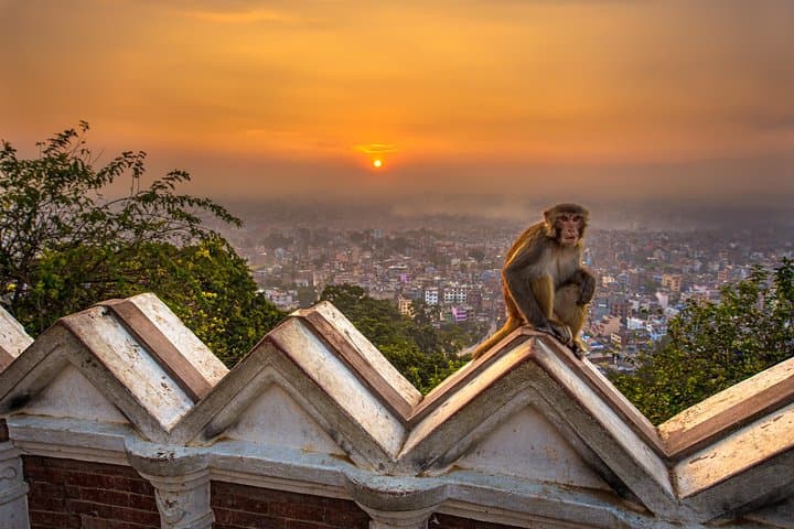 15-Day Nepal cultural highlights & Poon Hill trek photo 4