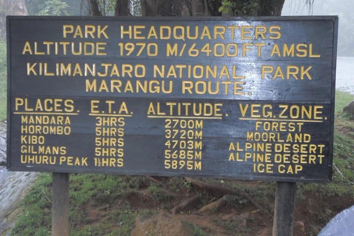 Marangu & Chagga Cultural Day Tour from Moshi — Coffee, Waterfalls & Kilimanjaro Foothills photo 4