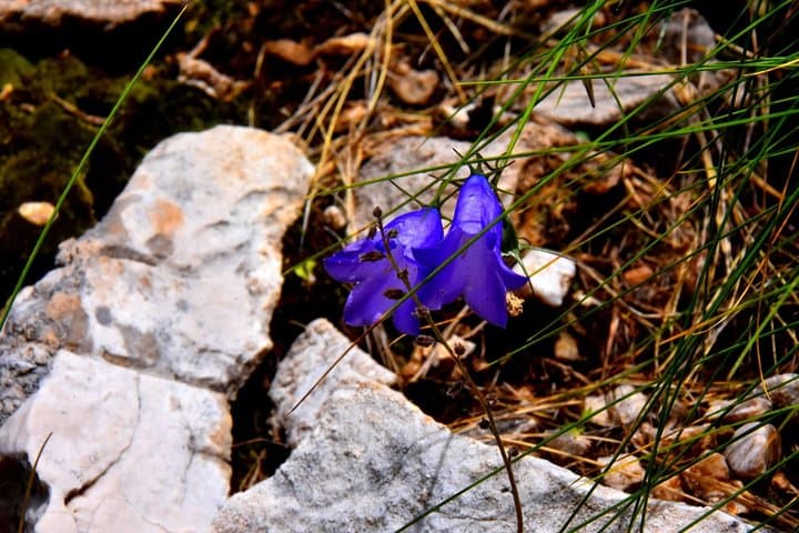 Summit Mount Tomorr: Hike Albania's Holy Mountain from Berat photo 3