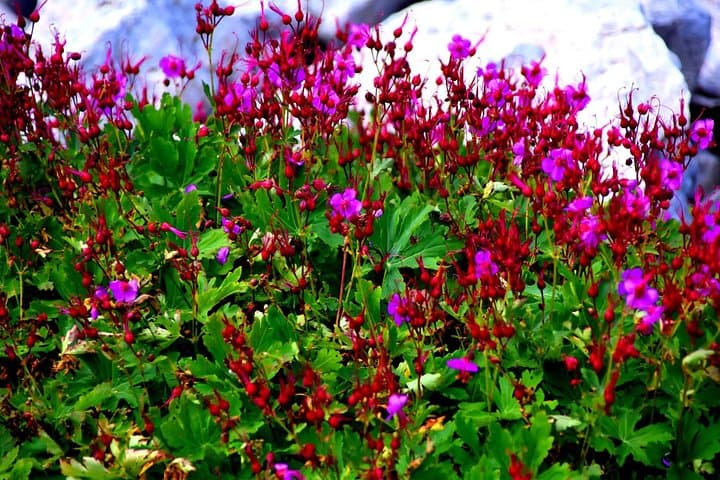 Summit Mount Tomorr: Hike Albania's Holy Mountain from Berat photo 5