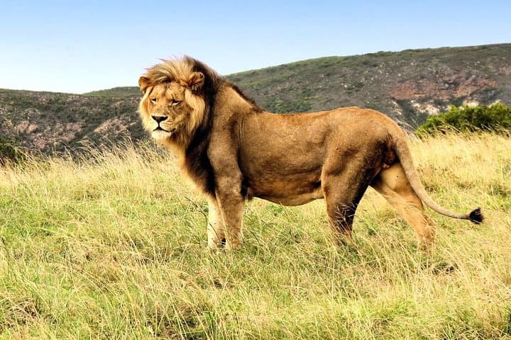 3-Day Private Garden Route Tour: Oudtshoorn Caves, Wilderness Canoe & 4x4 Safari photo 3