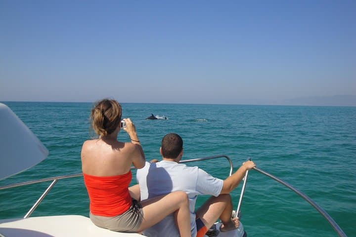 Dolphin Watching Boat Trip Along the Arrábida Coast from Sesimbra photo 4