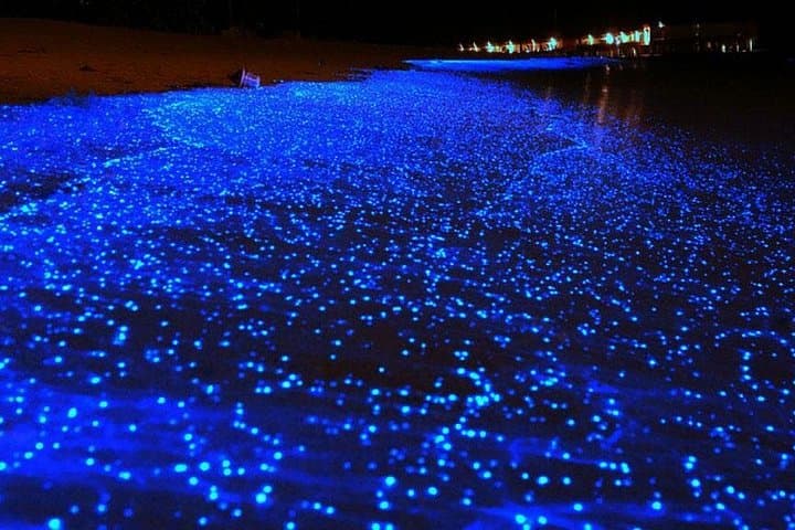Krabi Bio-Luminescent Night Swim and Island Snorkel photo 1