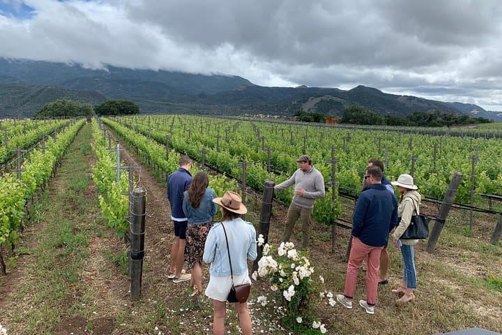Private Wine Tour Santa Barbara: Small-Group Tastings & Vineyard Access photo 5