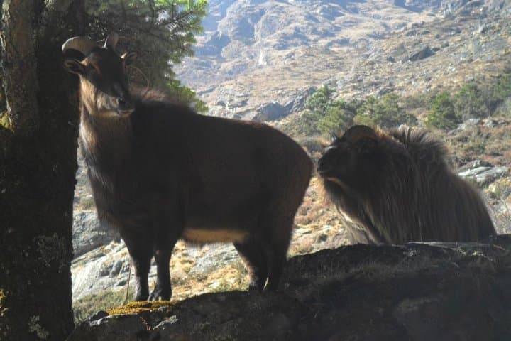 12-Day Everest Base Camp Trek: Lukla to Kala Patthar Adventure photo 5