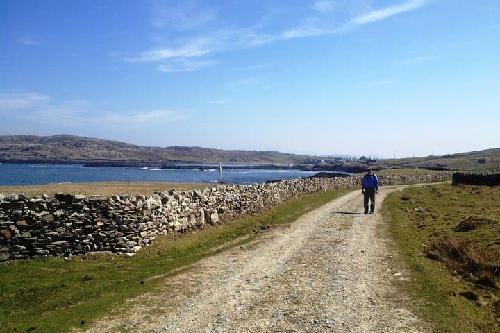 Self-Guided West Quarter Walk on Inishbofin Island: Coastal Loop & Birdwatching photo 4