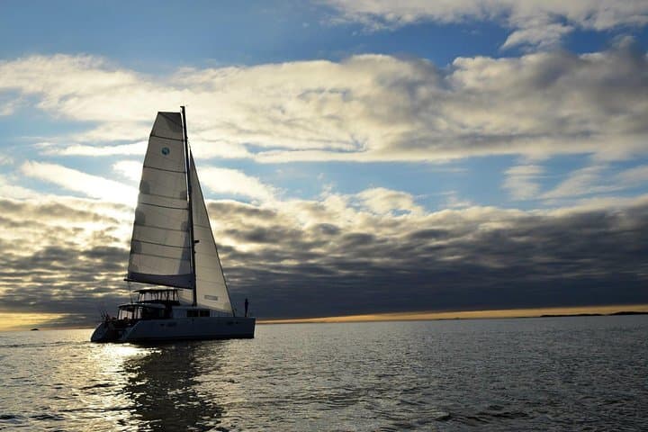 Tromsø Luxury Catamaran Fishing Trip — Arctic Princess Experience photo 4