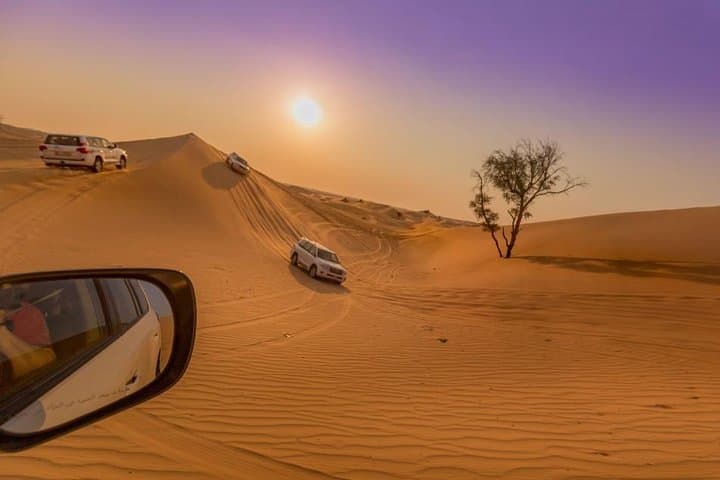 Abu Dhabi Private Desert Sunset Dune Dinner and Dune Bashing Experience photo 5