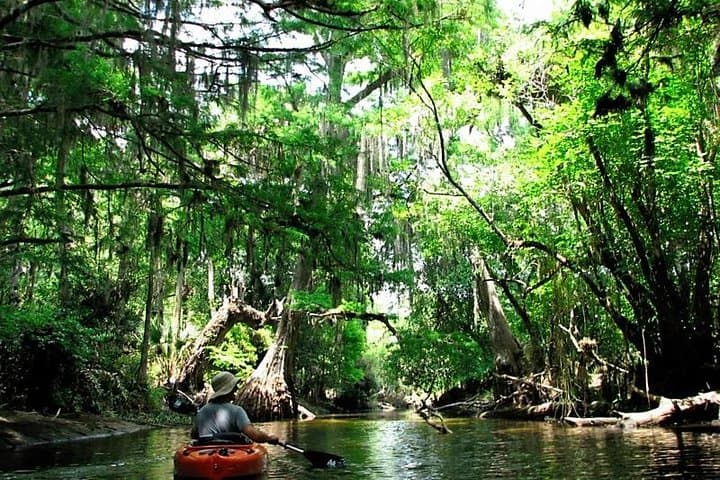 Wild & Scenic Loxahatchee River Guided Kayak Tour from Riverbend Park