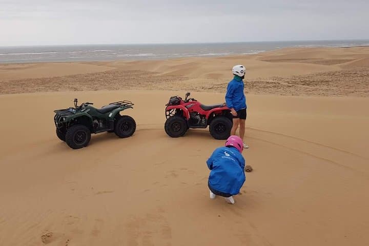 Essaouira Quad & Camel: Diabat Beach, Dunes and Pine Forest Tour