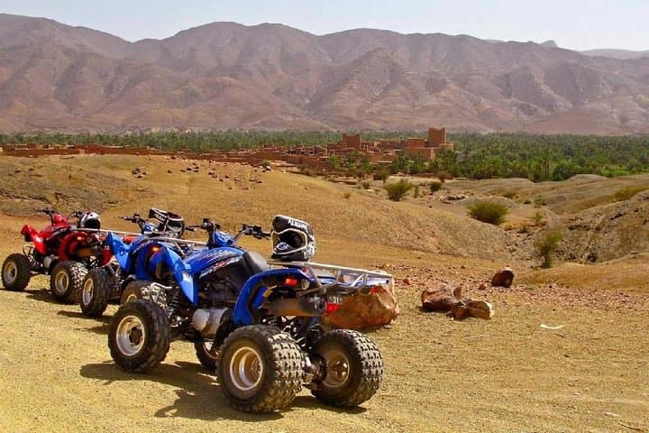 Quad Biking the Palmeraie: Marrakech Off-Road Adventure & Berber Tea photo 5