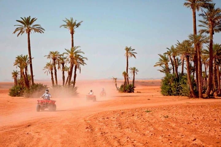 Quad Biking the Palmeraie: Marrakech Off-Road Adventure & Berber Tea photo 2